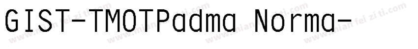 GIST-TMOTPadma Norma字体转换